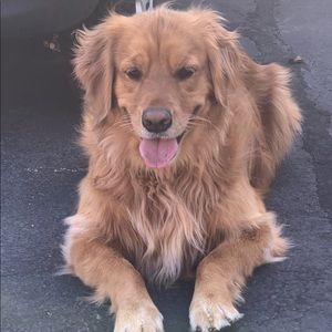 Meet your Posher, Nancy